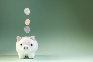 What is a dividend