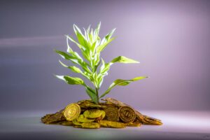 Return on Invested Capital