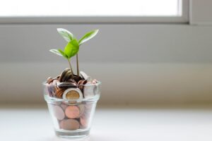 revenue growth